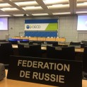 Andrey Tsyganov told at OECD how competition is developed in Russian railways